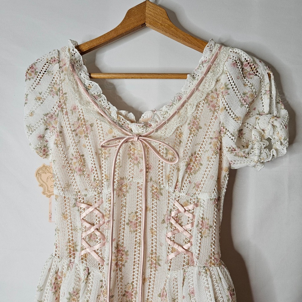 Lacemade Rose Path Corset Dress Sz S NWT - Picture 2 of 10
